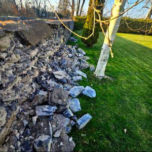 A stone garden wall partly collapsed, with rubble on the lawn beside a tree with white bark